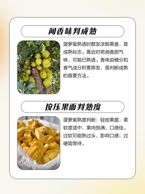 梦见菠萝蜜预示着什么吉凶或征兆？