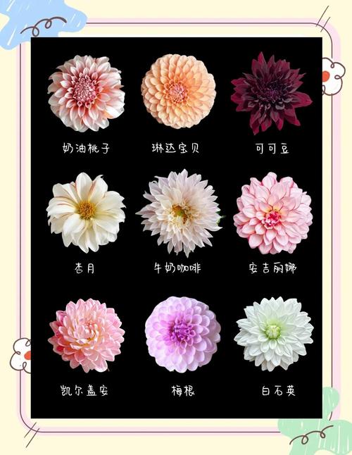 世界上有哪些品种的花被称为史上蕞全的花种？