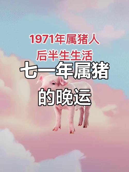 1971年属猪人2026年运势及运程男全年完整运气具体如何？