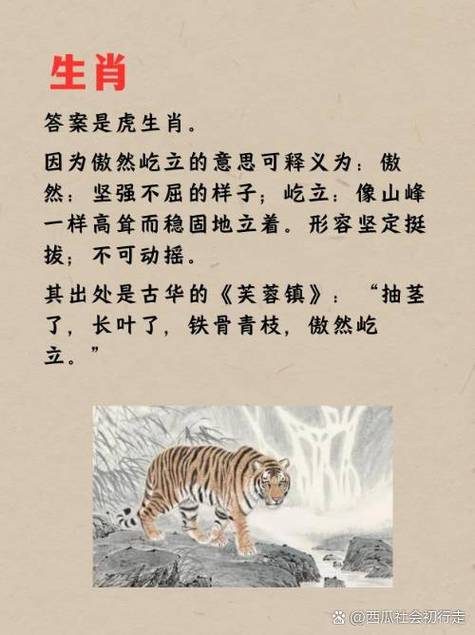 哪个生肖动物常被形容为胸无点墨？