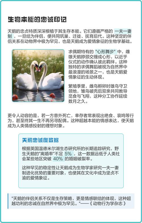 梦见天鹅蛋预示着什么是凶是吉，有什么特殊含义呢？