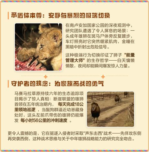 狮子的性格和脾气究竟是怎样的？它们是勇敢无畏还是慵懒随性？