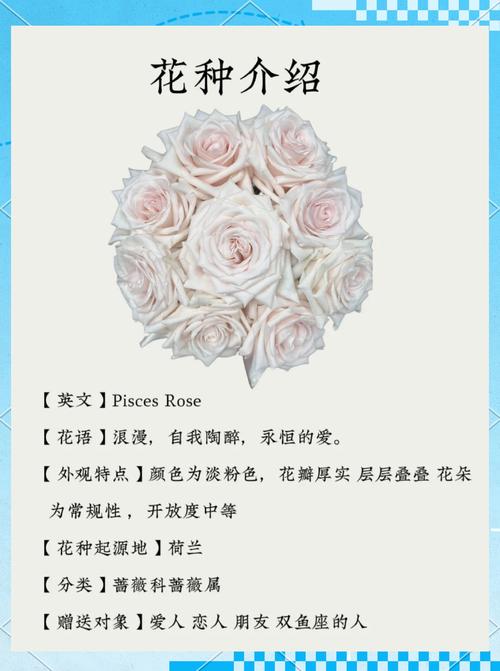 象征爱情的物品有哪些可以用来比喻爱情？