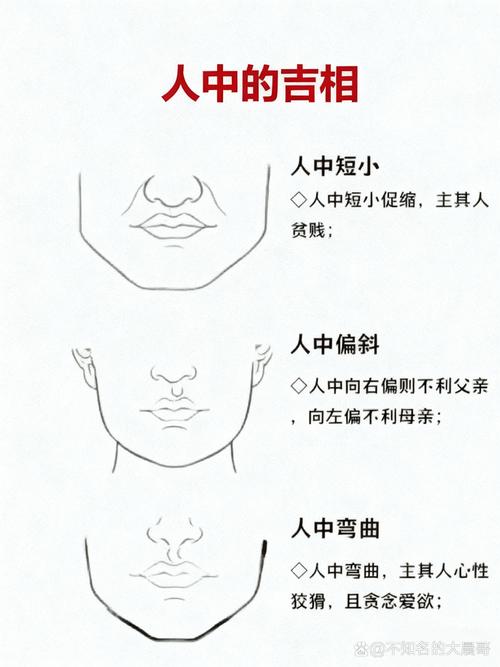 手臂粗胖是吉相吗？面相中哪些部位胖是好运的象征？