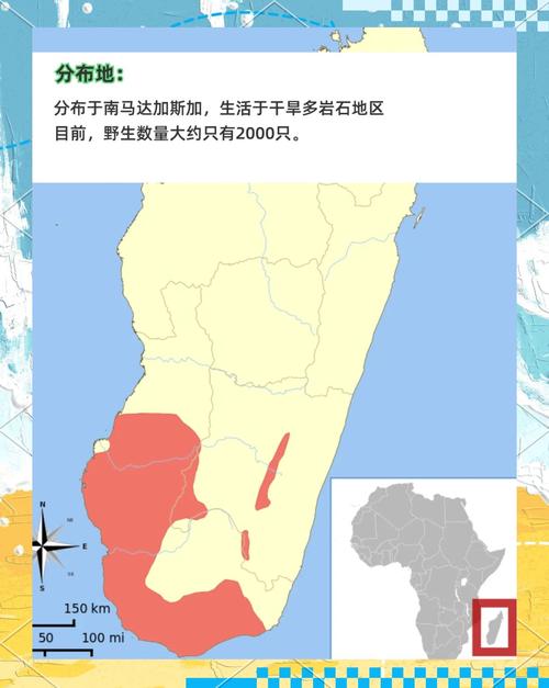 悬崖象征着哪个生肖动物？它的尾巴长吗？