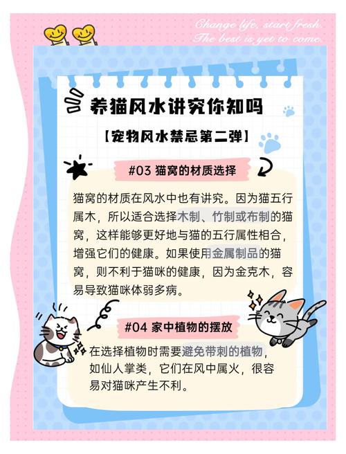 养三只猫对家财运风水有正面影响吗？