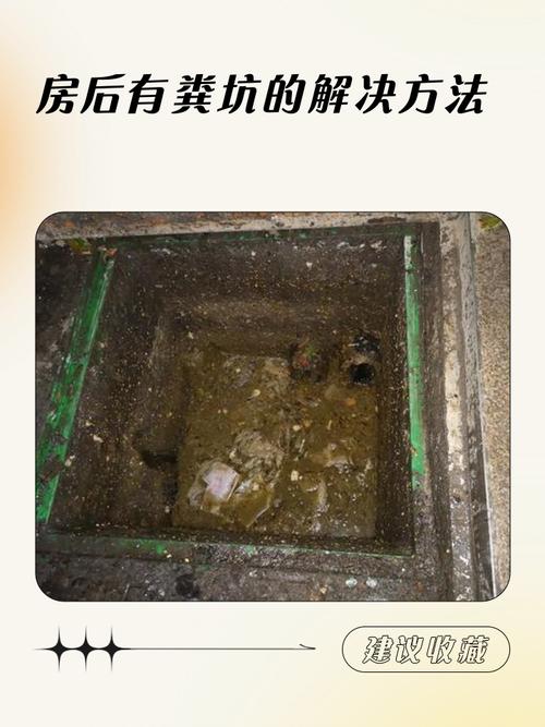 梦见臭气熏天的粪坑是什么征兆？