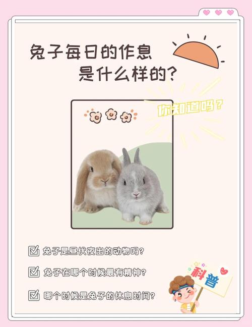 哪些生肖动物习惯早睡早起？