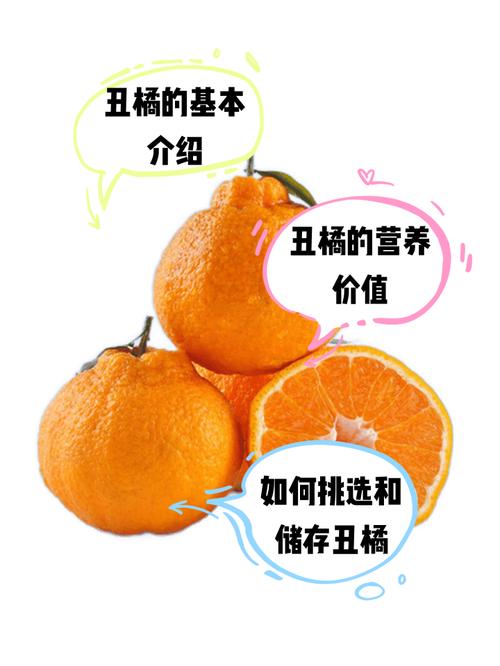 周公解梦中吃橘子发现里面有虫的梦境是什么寓意？