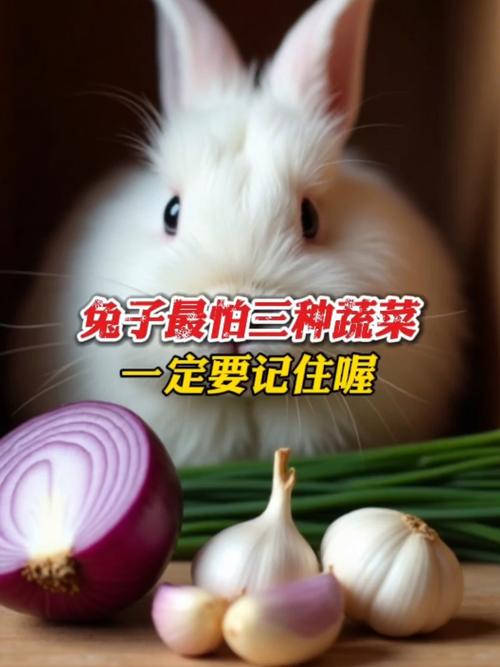 兔子最怕的三种蔬菜是什么它们为什么会让兔子如此害怕呢？