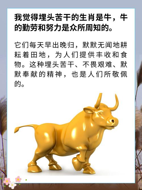 小牛耕地究竟指的是哪个生肖？