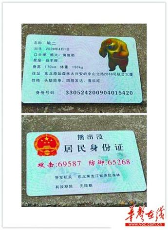 身份证上11月19日出生的人属于什么星座？