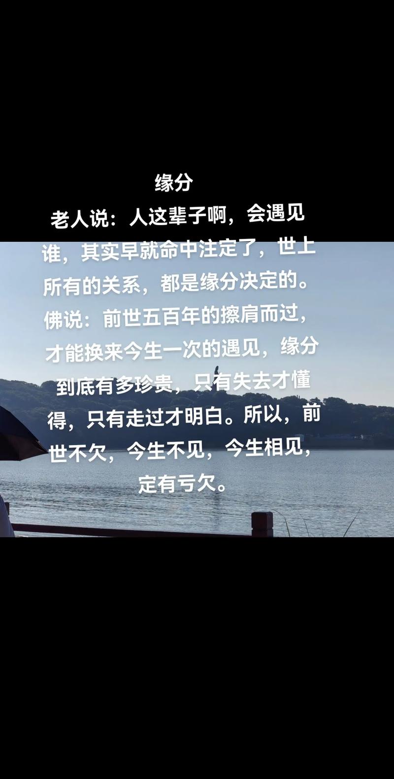 人生中遇到的每个人，难道不是注定的缘分吗？