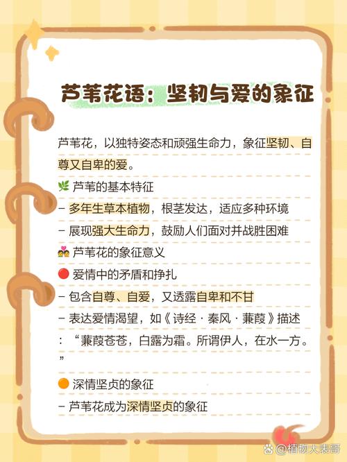 芦花歌曲的寓意是什么歌词中表达的情感和哲理是什么？