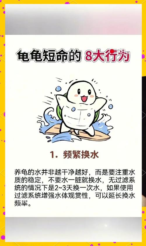 阳台养乌龟有哪些风水禁忌需要注意？