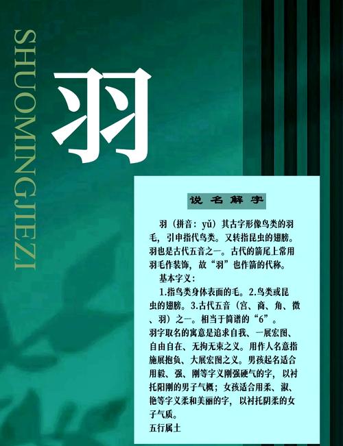 羽字在五行中究竟归属哪一类？五行属性是什么？