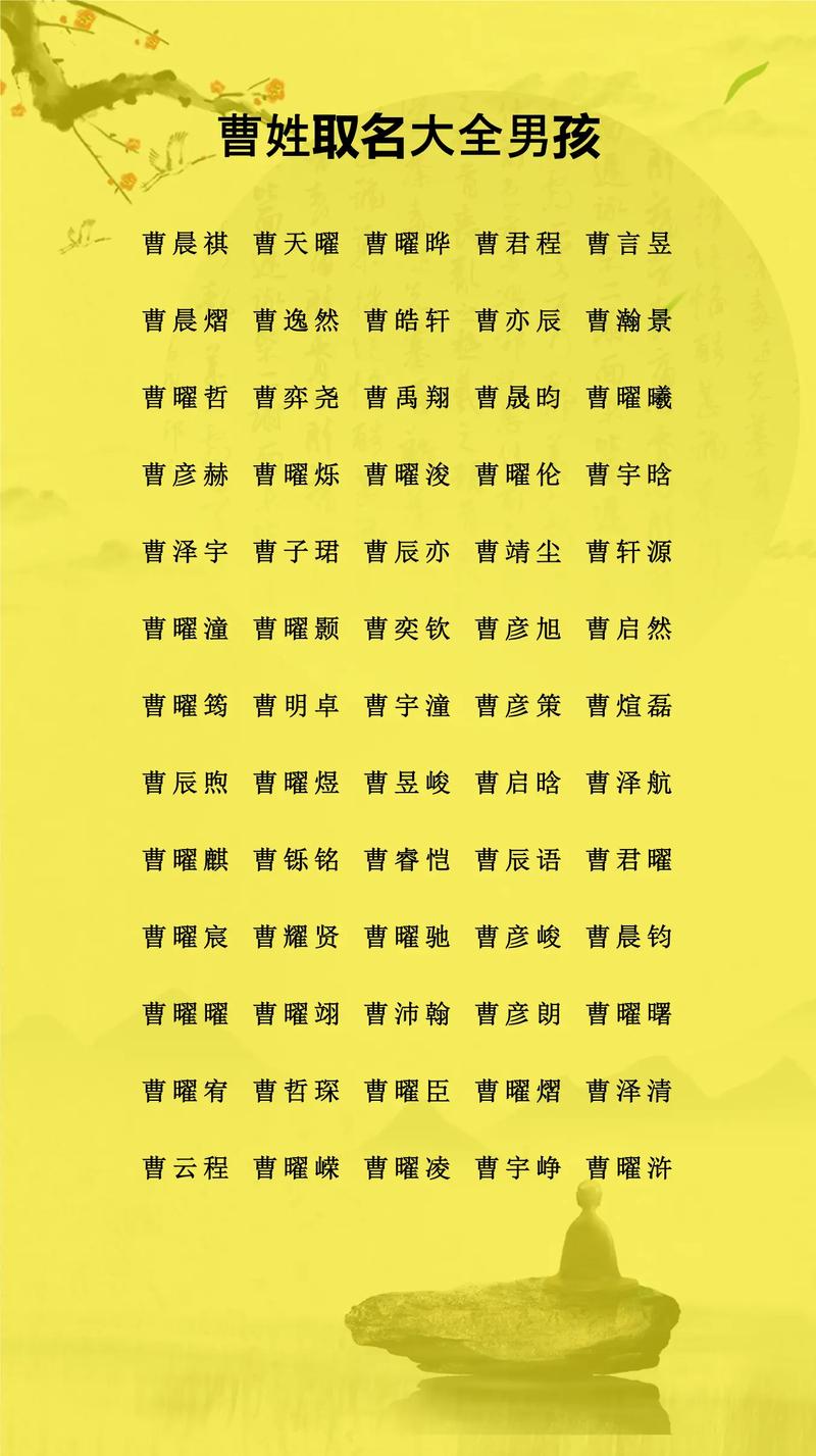 曹姓属猪的男孩名字有哪些？嫩否提供154个？
