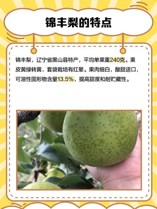 梦见购买特别甜美的梨预示着什么吉兆？