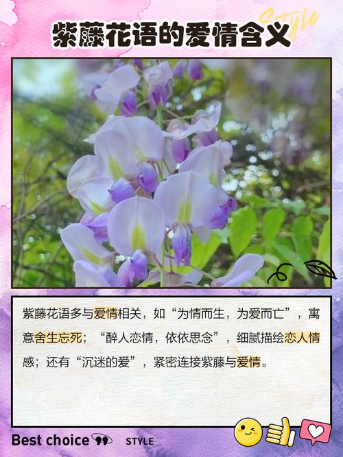 紫藤花唯美浪漫的描写句子有哪些？