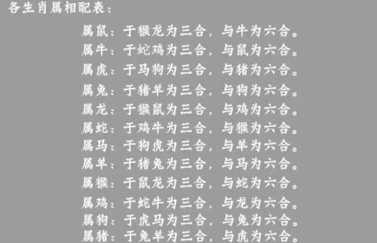 属马的人与哪个属相合作最不和谐呢？