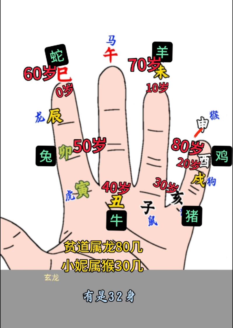 12生肖的计算方法究竟是怎样的？