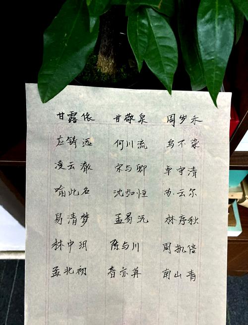现在还有谁还在用爷爷奶奶辈的名字，比如子轩、楮墨这样的名字吗？