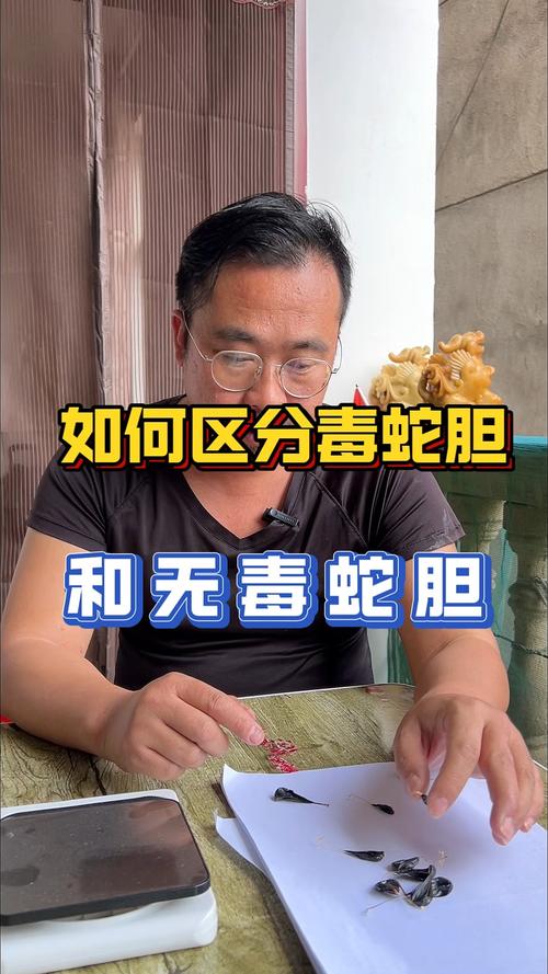 属蛇的人胆量究竟有多大，他们的胆大表现在哪些方面呢？