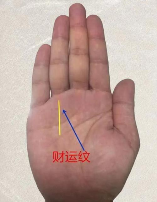 财运线被金星线横切，这样的横纹对财运有影响吗？