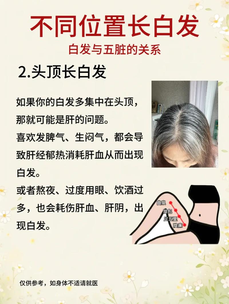 梦见白发老人是什么征兆？预示着好运还是不祥？