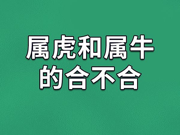 属牛和属虎的人在工作上是否合得来？