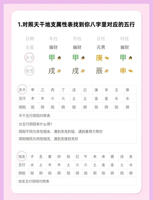 如何通过八字看学业考运，提升我的学业运势？