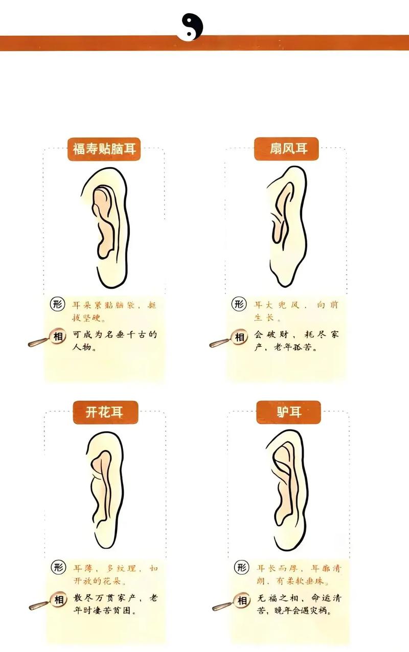 宝宝耳朵大是否代表健康和好运？