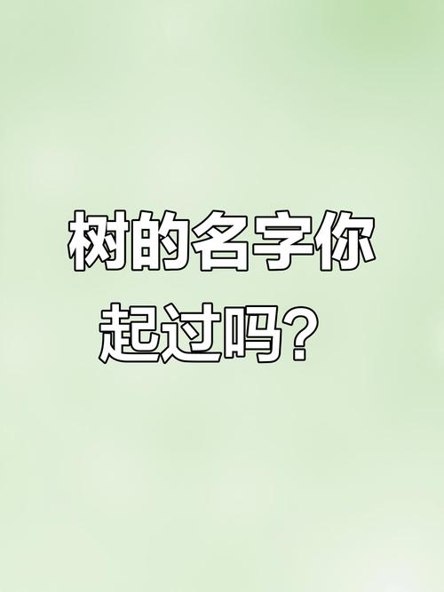 给树木取个什么名字比较好呢？