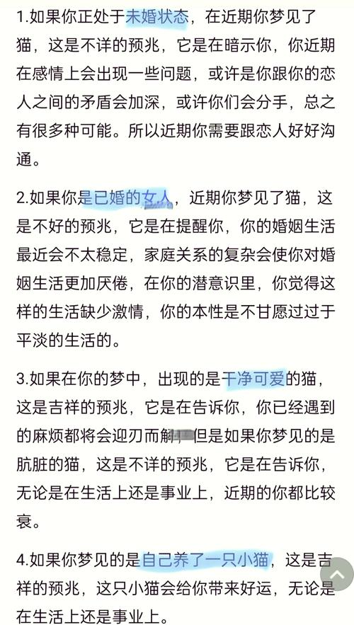 梦见猫究竟预示着什么吉凶？
