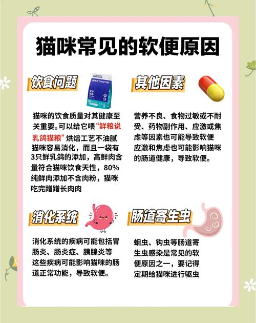 梦见两只猫拉屎，这究竟是什么预兆，有什么特殊含义吗？