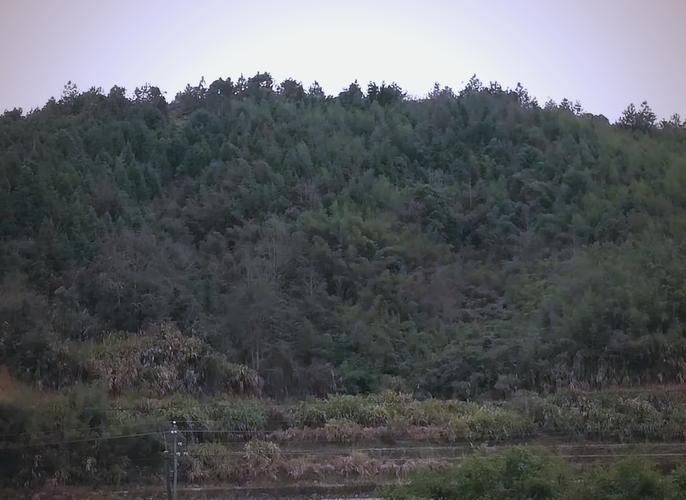 墓地坐癸向丁风水怎么样？癸山丁向古墓风水解析？