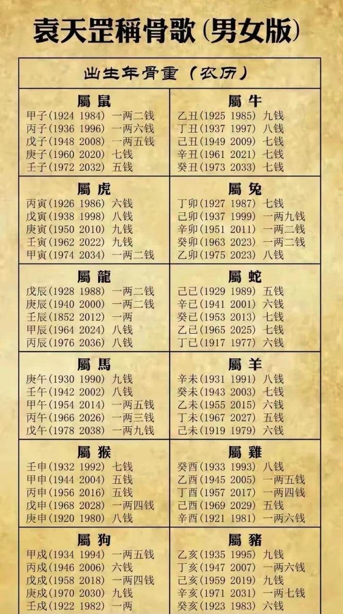 龟骨在摸骨算命中具体代表什么含义？