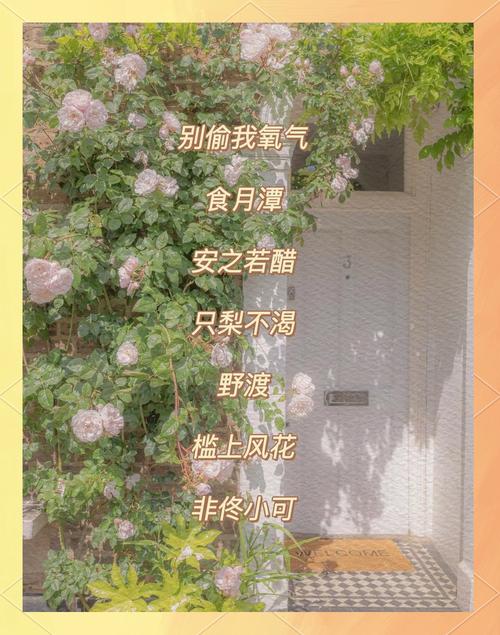 梦幻昵称二字，有没有什么特别的可以形容？