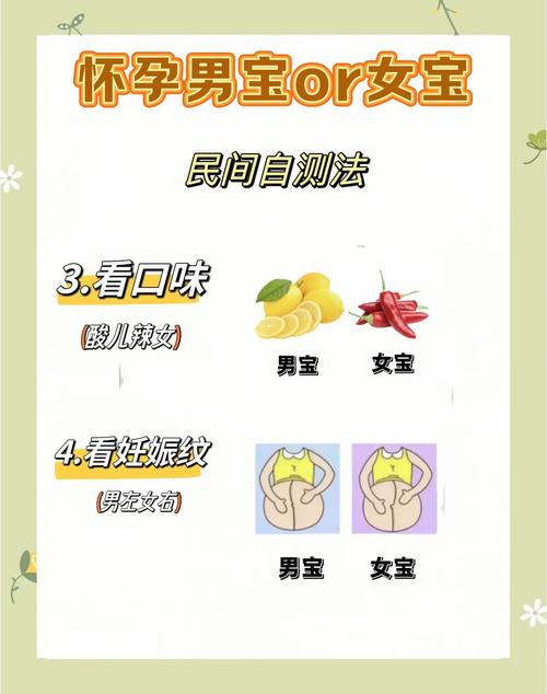 如何通过最精确的方法准确判断胎儿的性别？