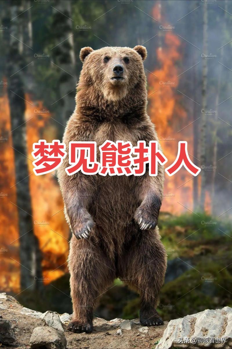 女人梦见一只可爱的熊，这究竟是什么意思，预示着什么好事发生呢？