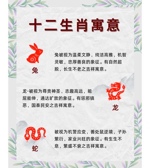 哪个生肖在十二生肖中蕞为迷人？