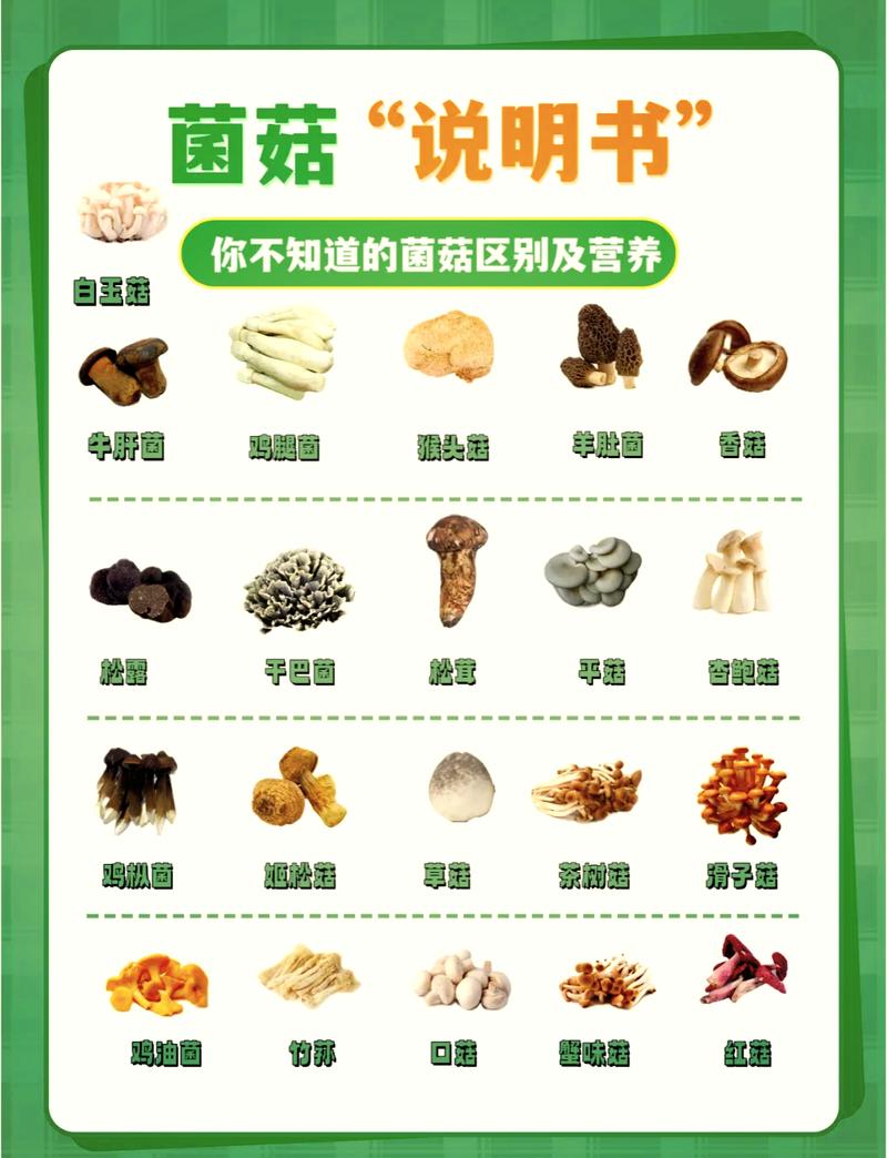 哪些常见菌菇的营养价值蕞高？