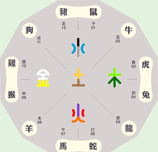 辰指的是哪个生肖？它代表哪些生肖？
