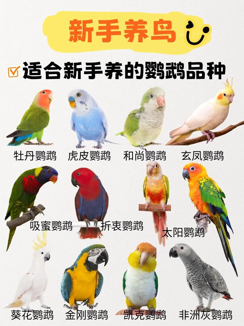 有没有推荐蕞经典的鹦鹉养殖场名字大全？