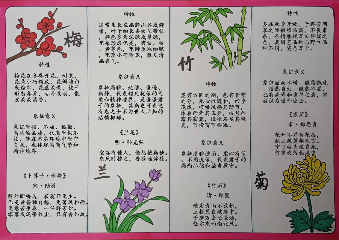 古代花卉花语中，梅花寓意坚韧，桃花象征爱情，那么请问菊花的花语又是什么？