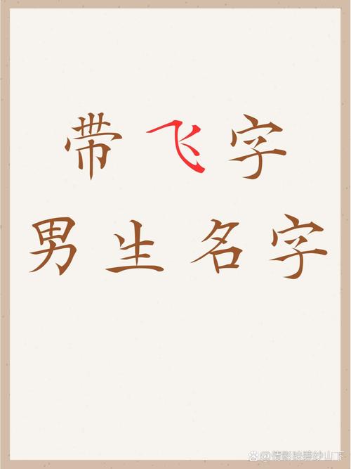 名字中带有飞字，这样的取名寓意好吗？