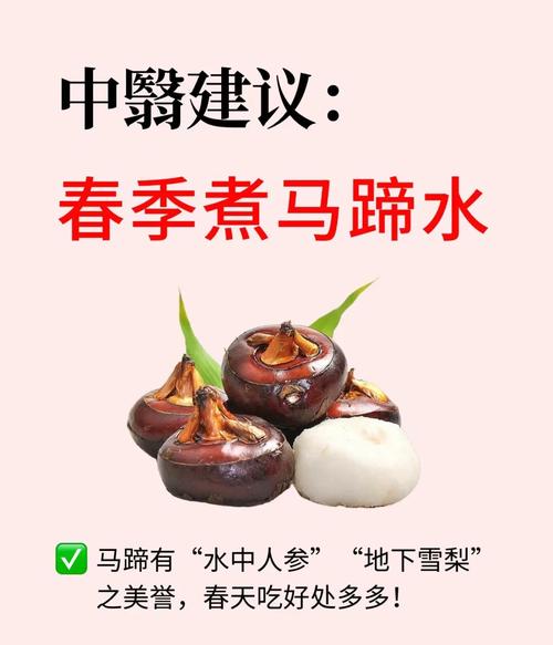 梦见荸荠是什么预兆？周公解梦寓意是什么？