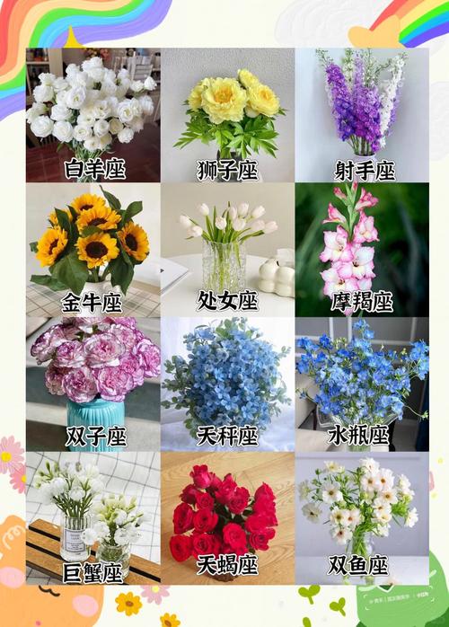 12星座分别喜欢哪种专属幸运花？