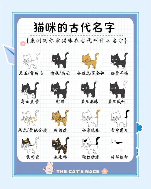 有哪些名字既可爱又洋气，适合给小母猫取呢？