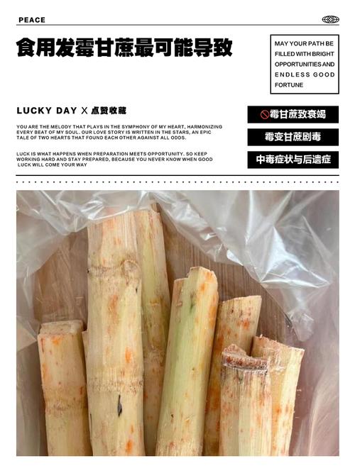 梦见吃甘蔗却腐烂，这预示着什么？